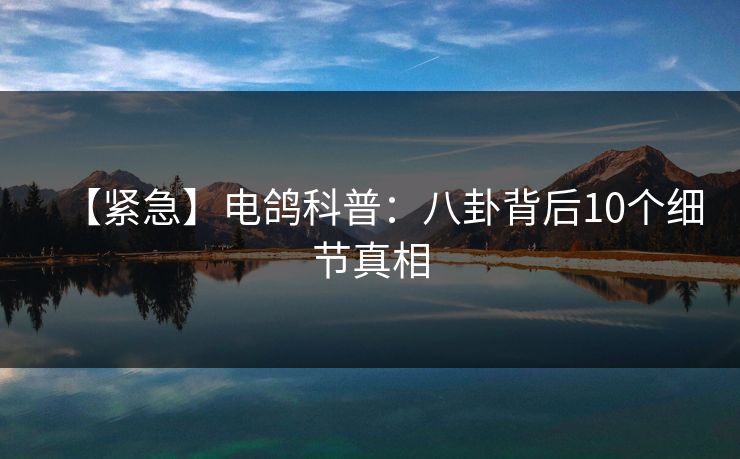 【紧急】电鸽科普:八卦背后10个细节真相 【紧急】电鸽科普:八卦背后10个细节真相