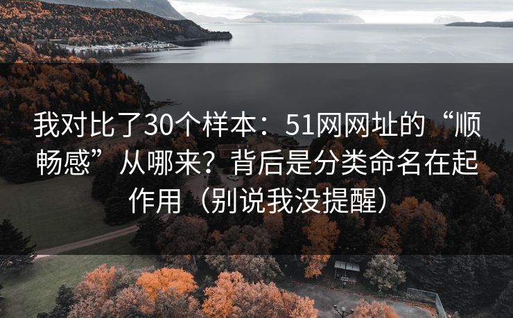 我对比了30个样本：51网网址的“顺畅感”从哪来？背后是分类命名在起作用（别说我没提醒）